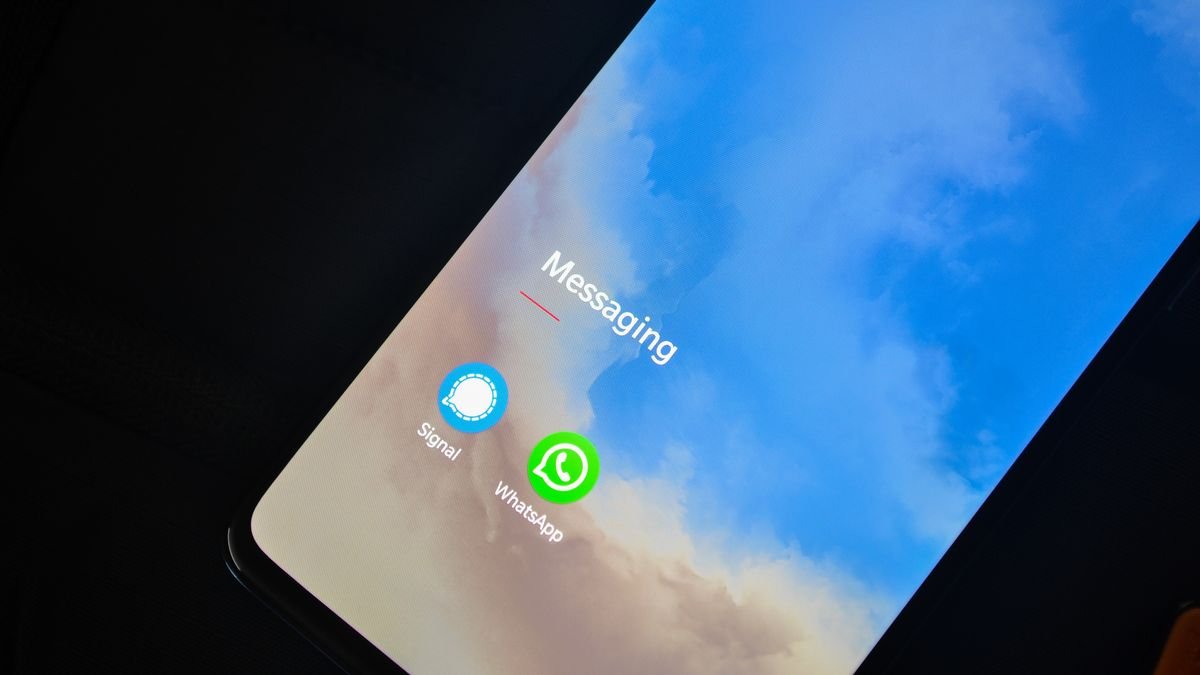 WhatsApp Business API vs WhatsApp Comum: Qual Usar na Sua Clínica?